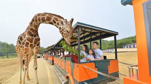 Hangzhou-Wildlife-Park Hangzhou-Wildlife-Park