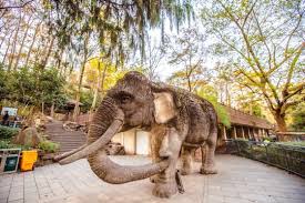 Hangzhou-Wildlife-Park2 Hangzhou-Wildlife-Park2