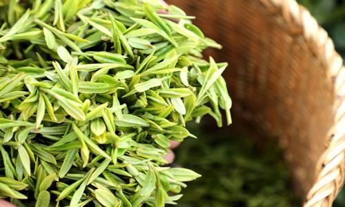 Longjing-Imperial-Tea-Garden-Hangzhou Longjing-Imperial-Tea-Garden-Hangzhou