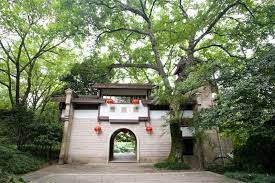 Wuyi-Palace2