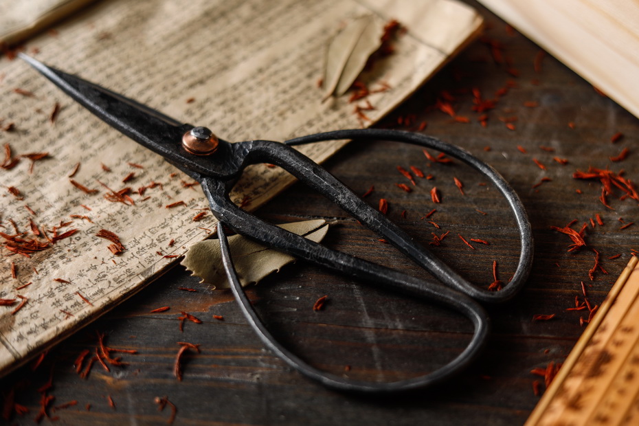 Zhang-Xiaoquan-Scissors2 Zhang-Xiaoquan-Scissors2