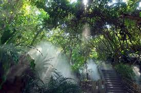 Botanical-Garden4