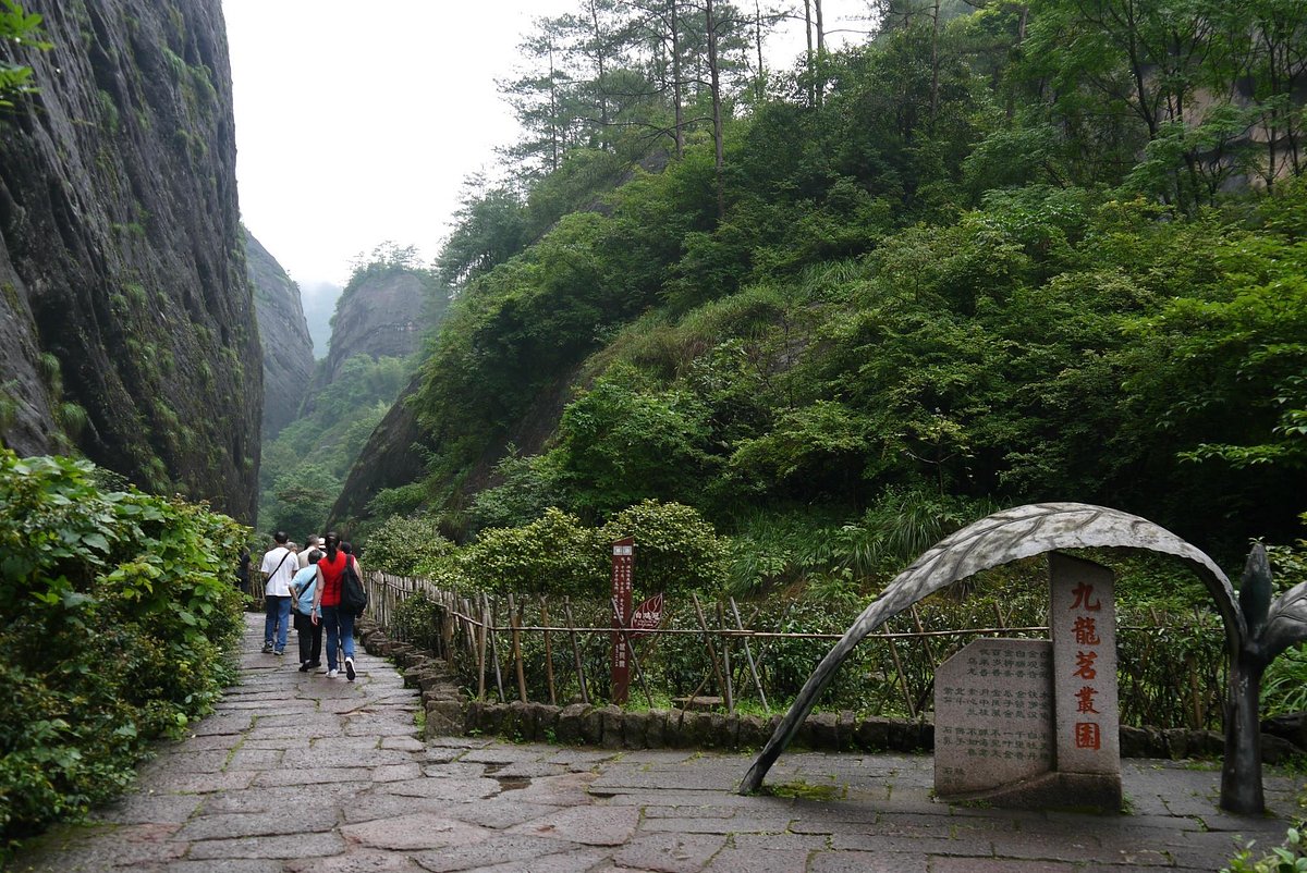 Dahongpao-Scenic-Area