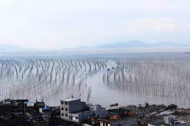 S-Bay-at-Shajiang2
