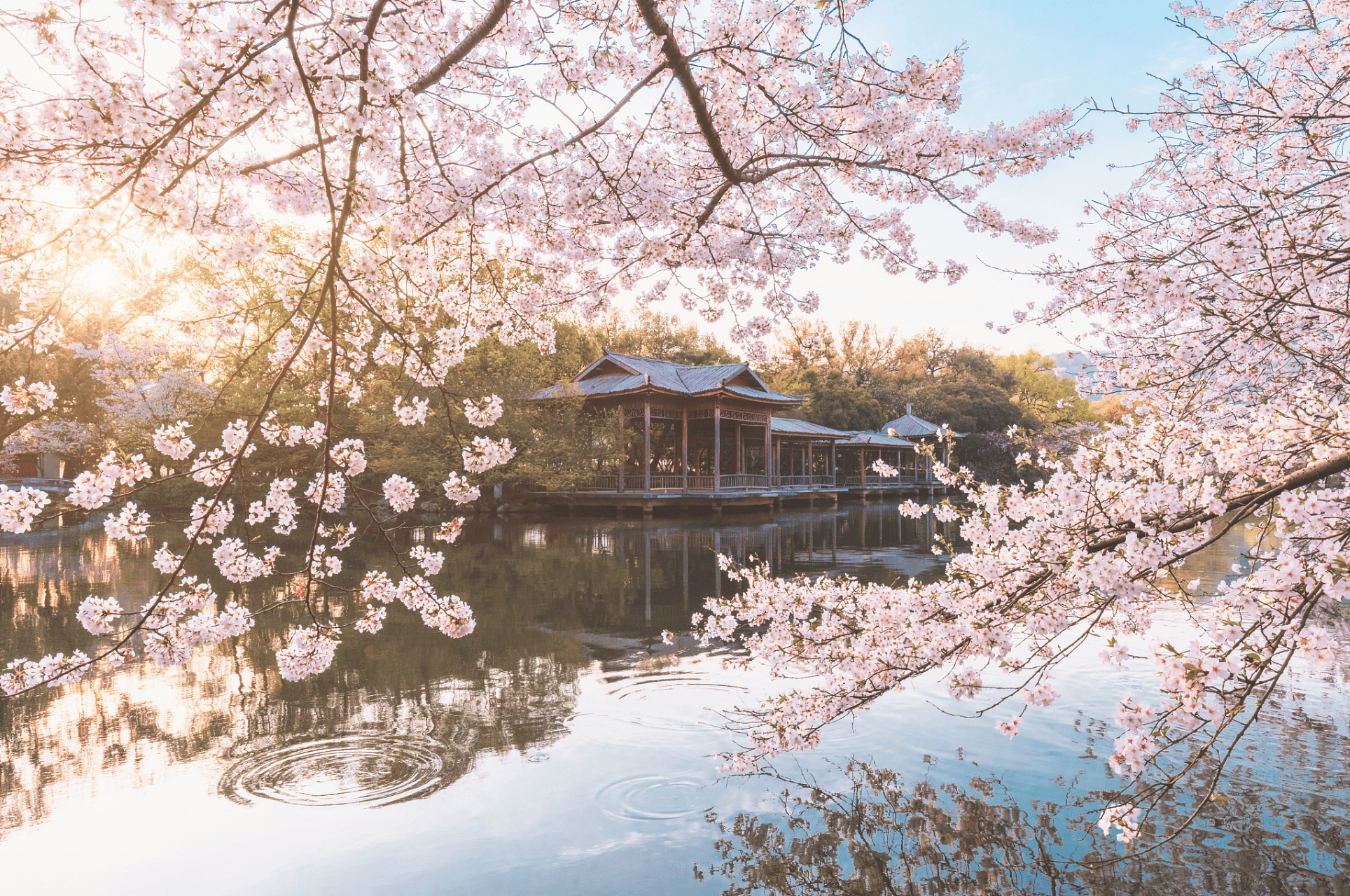Hangzhou-Spring-01