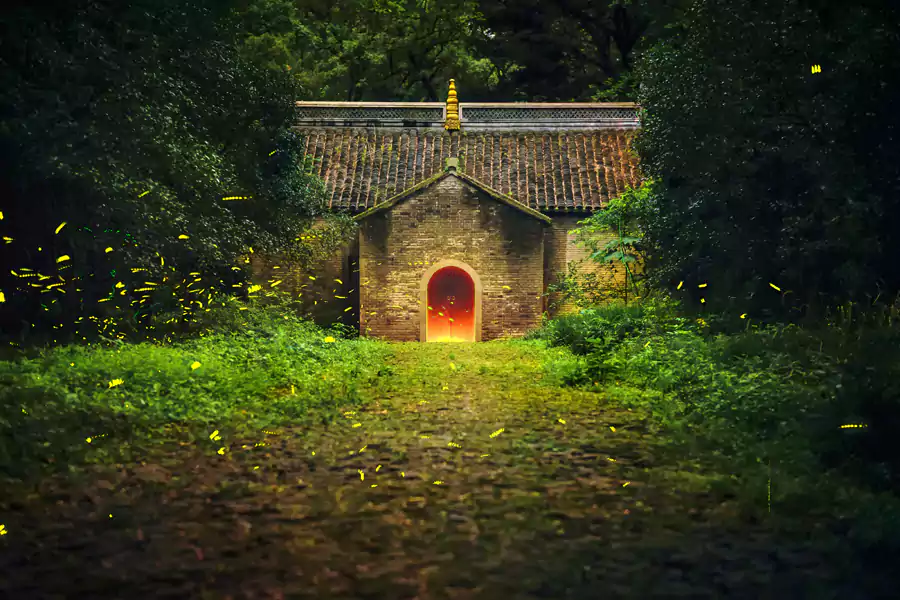 Watching-Fireflies2