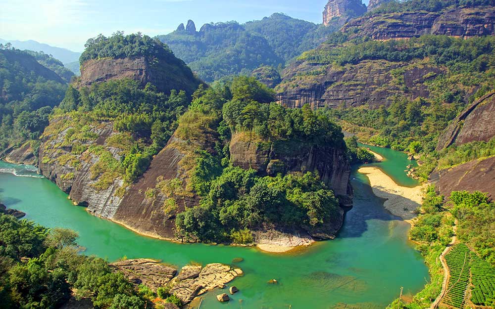 Wuyi-Tea-Culture
