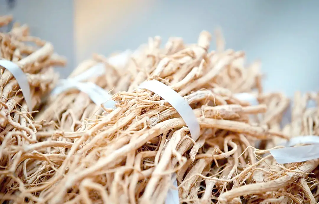 Milk-Root2
