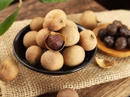 Quanzhou-Longan2