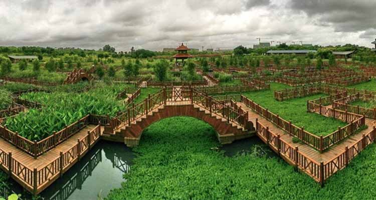 Wuyuan-Bay-Wetland-Park2