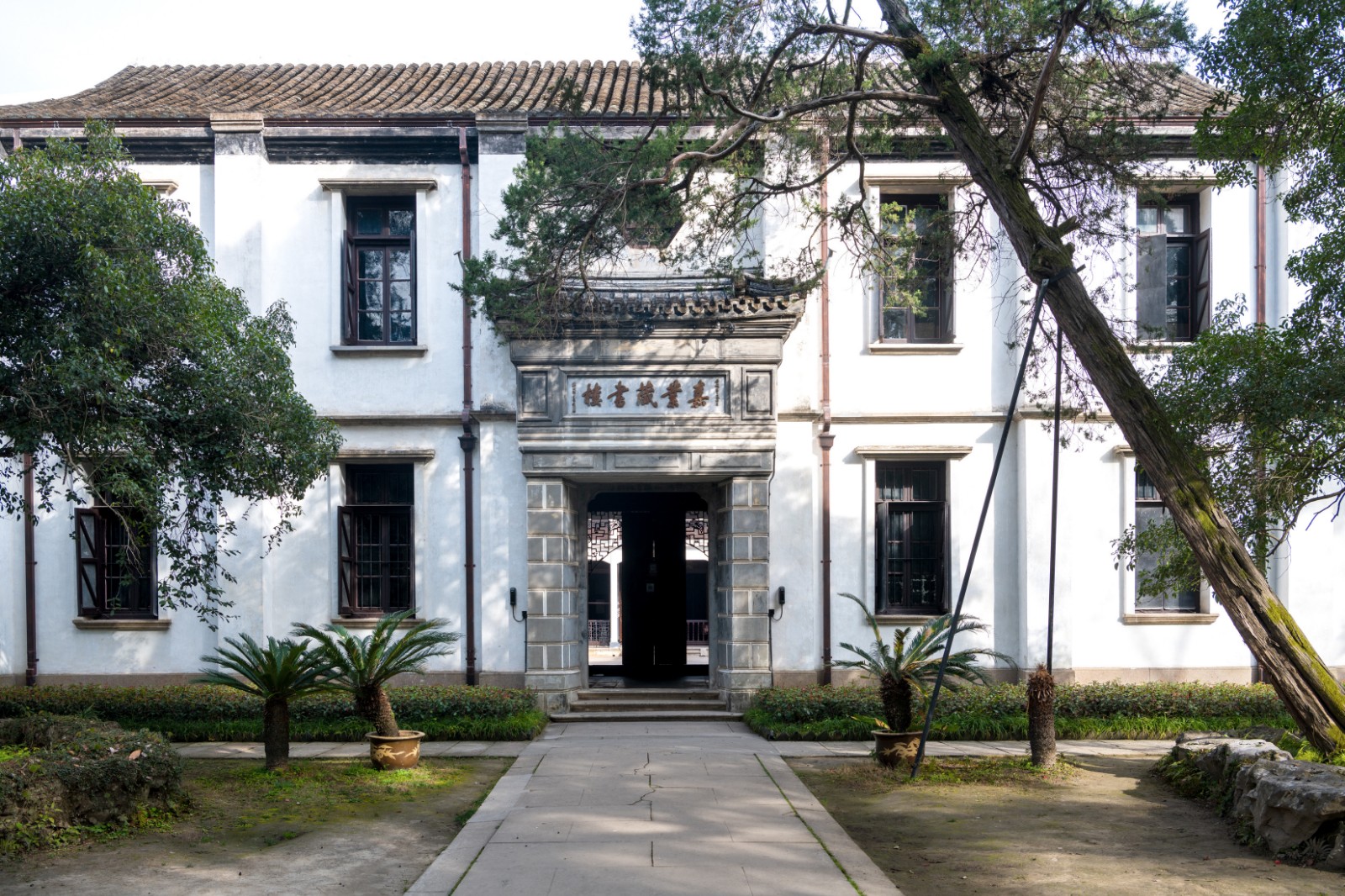 Jiaye-Tang-Library2