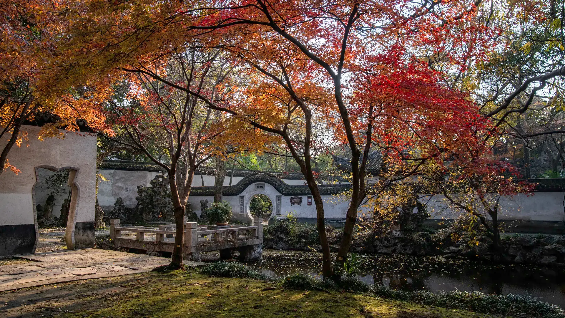 Little-Lotus-Villa