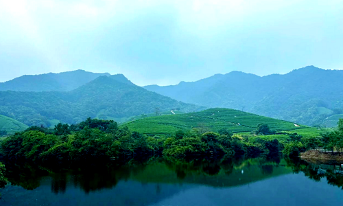 Longwu-Tea-Town-1