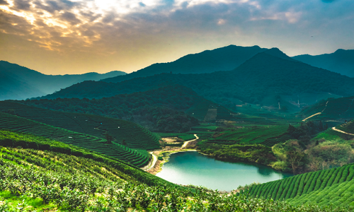 Longwu-Tea-Town-4
