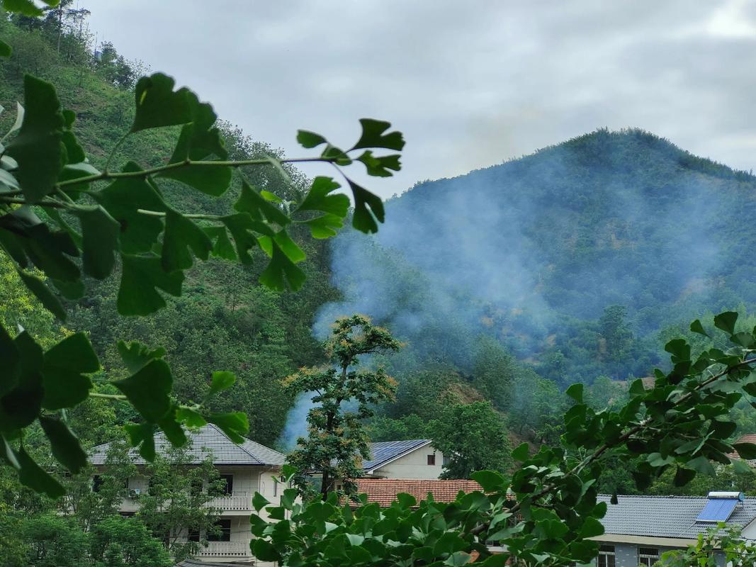 Tianmu-Mountain1