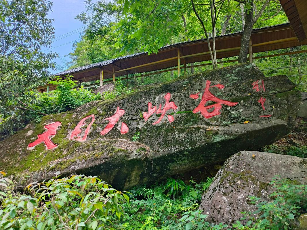 Tianmu-Mountain2