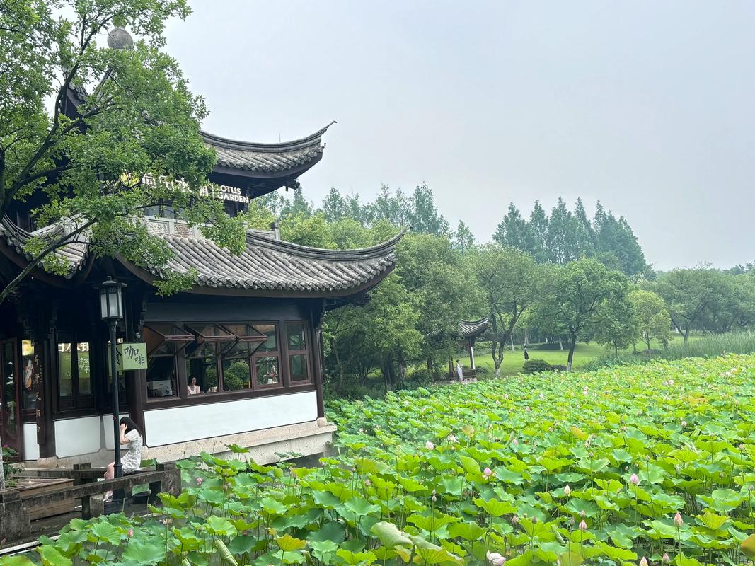 Xianghu2