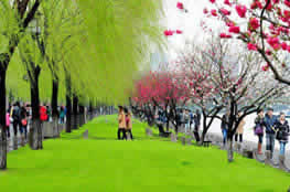 Recommended Hangzhou Day Trip in Spring (March - May)