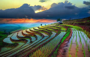 15 Days Scenic China and Rice Terraces Tour