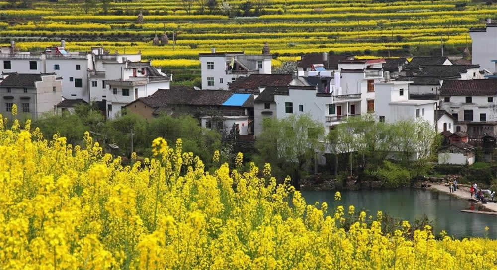 4 Days Yellow Mountain Photography Tour with Extension to Wuyuan