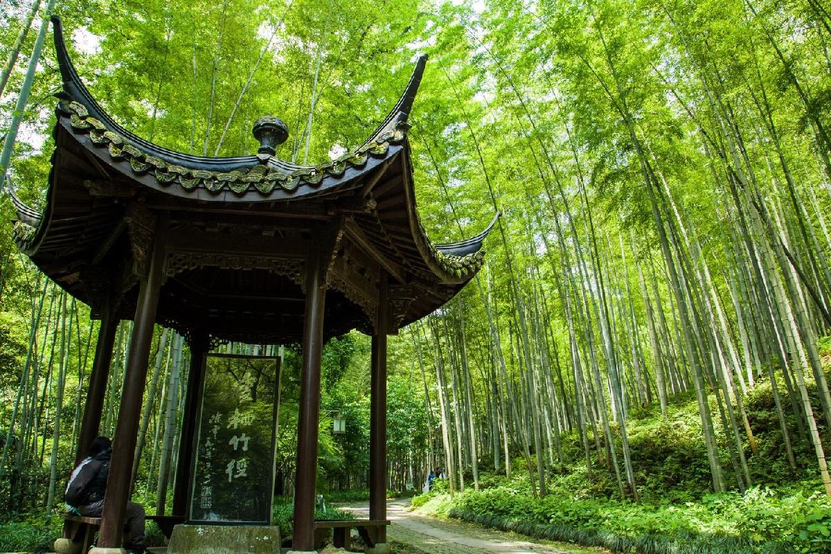 Bamboo-lined-Path-at-Yunqi