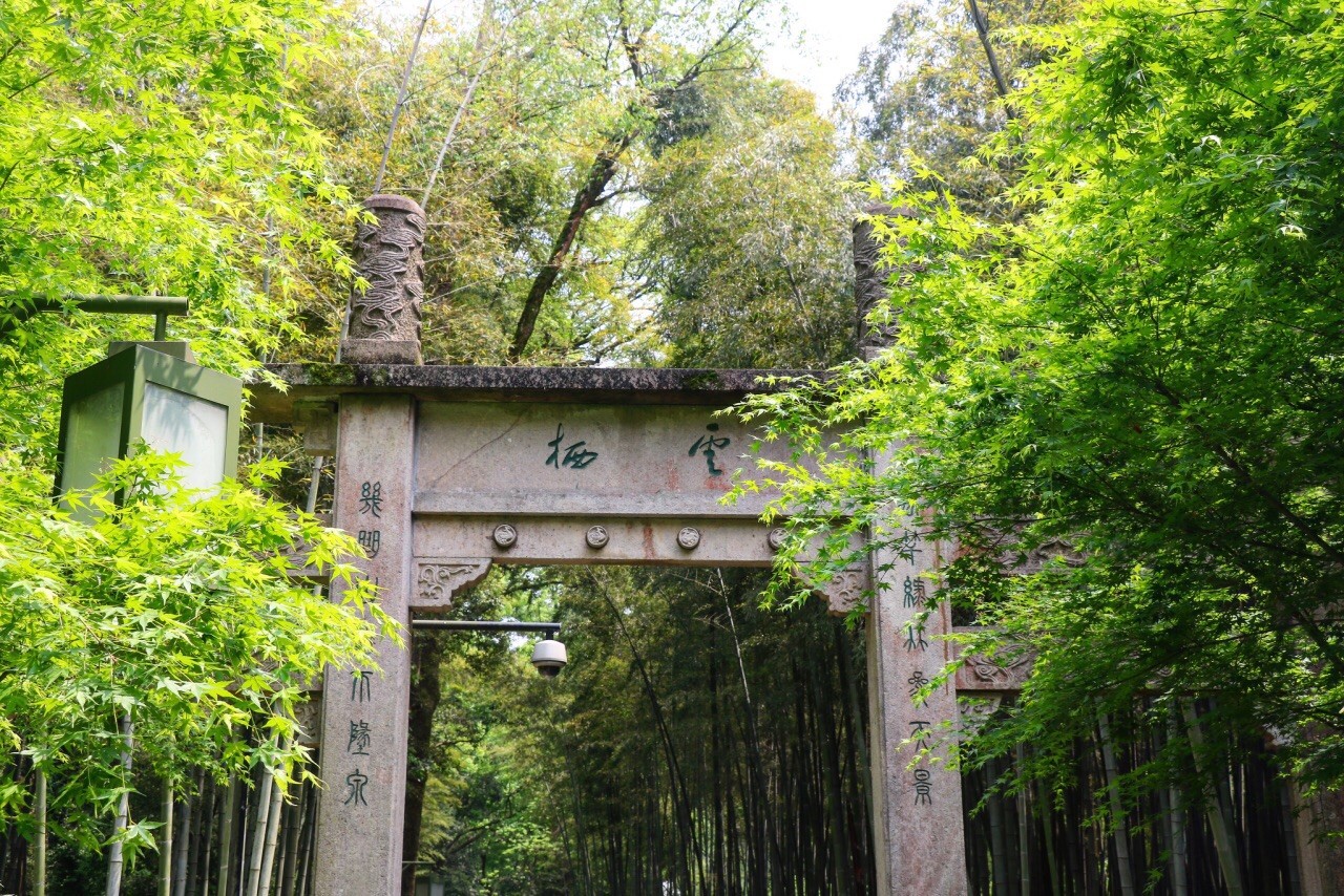 Bamboo-lined-Path-at-Yunqi-Hangzhou