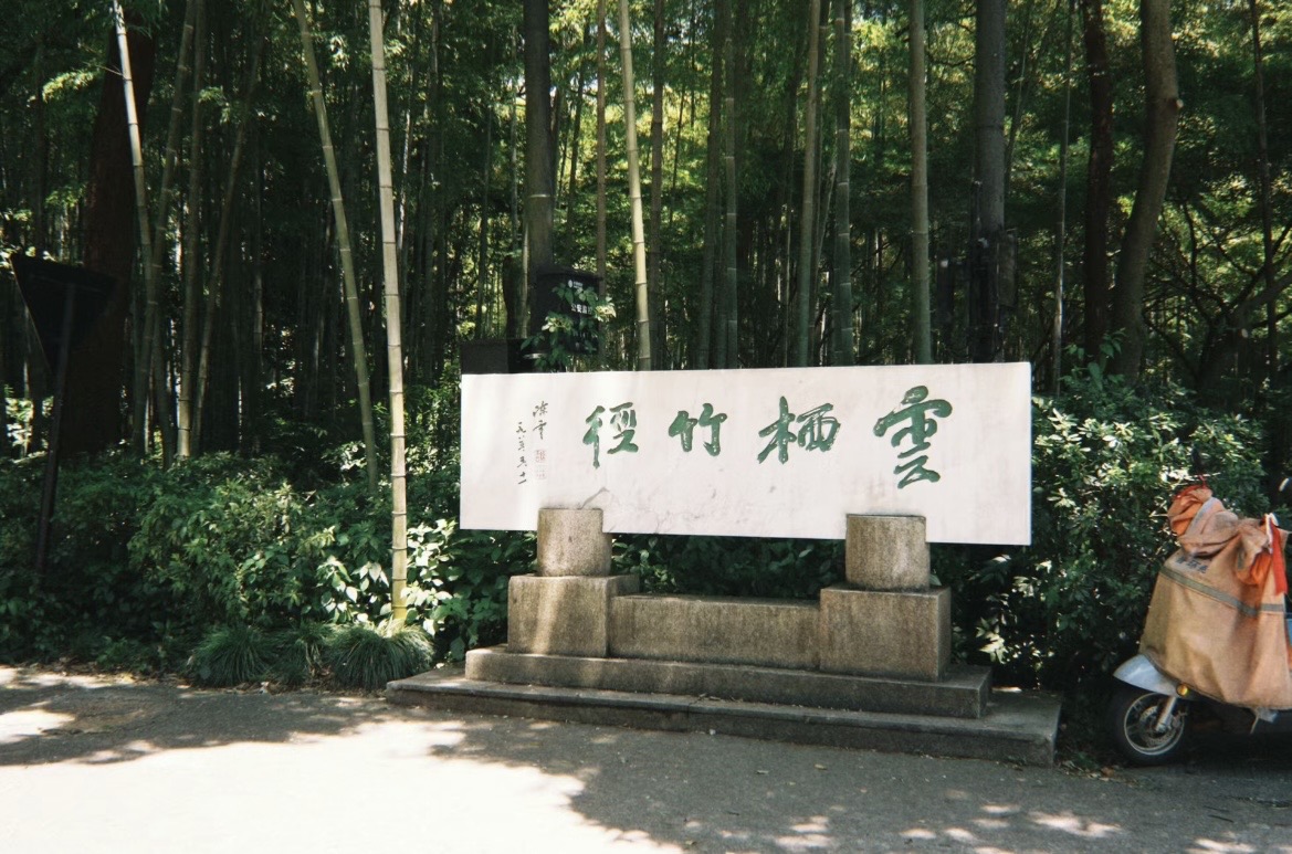 Bamboo-Lined-Path-at-Yunqi