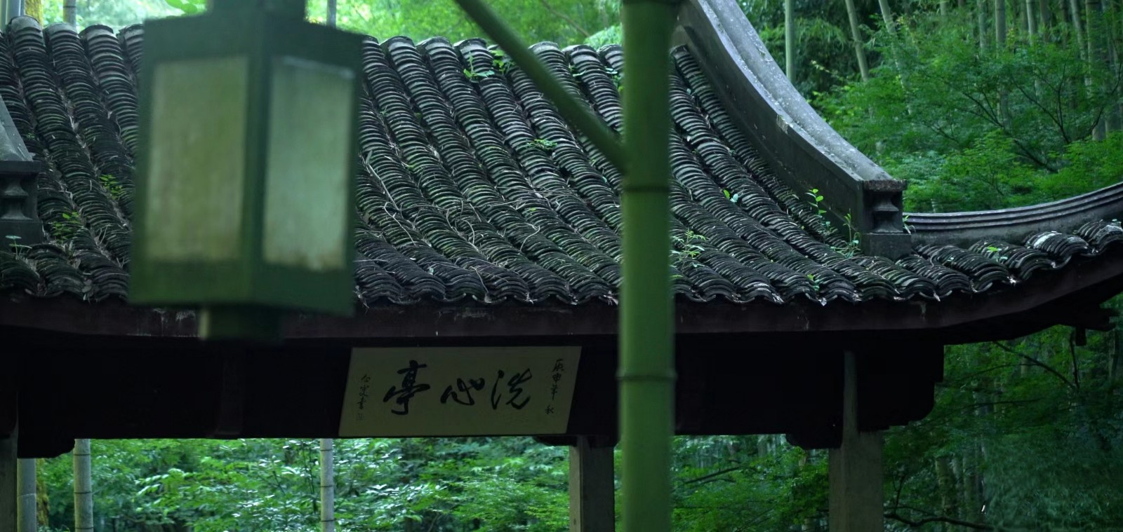 Bamboo-lined-Path-at-Yunqi-Hangzhou