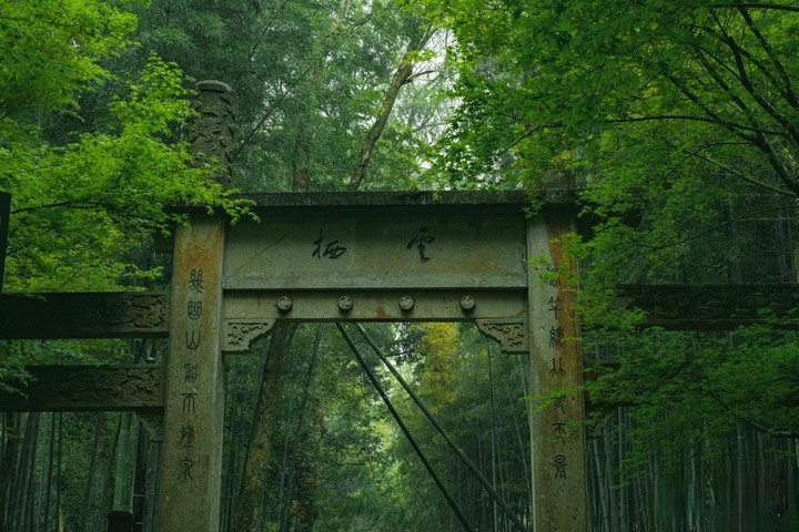 Bamboo-lined-Path-at-Yunqi-Hangzhou