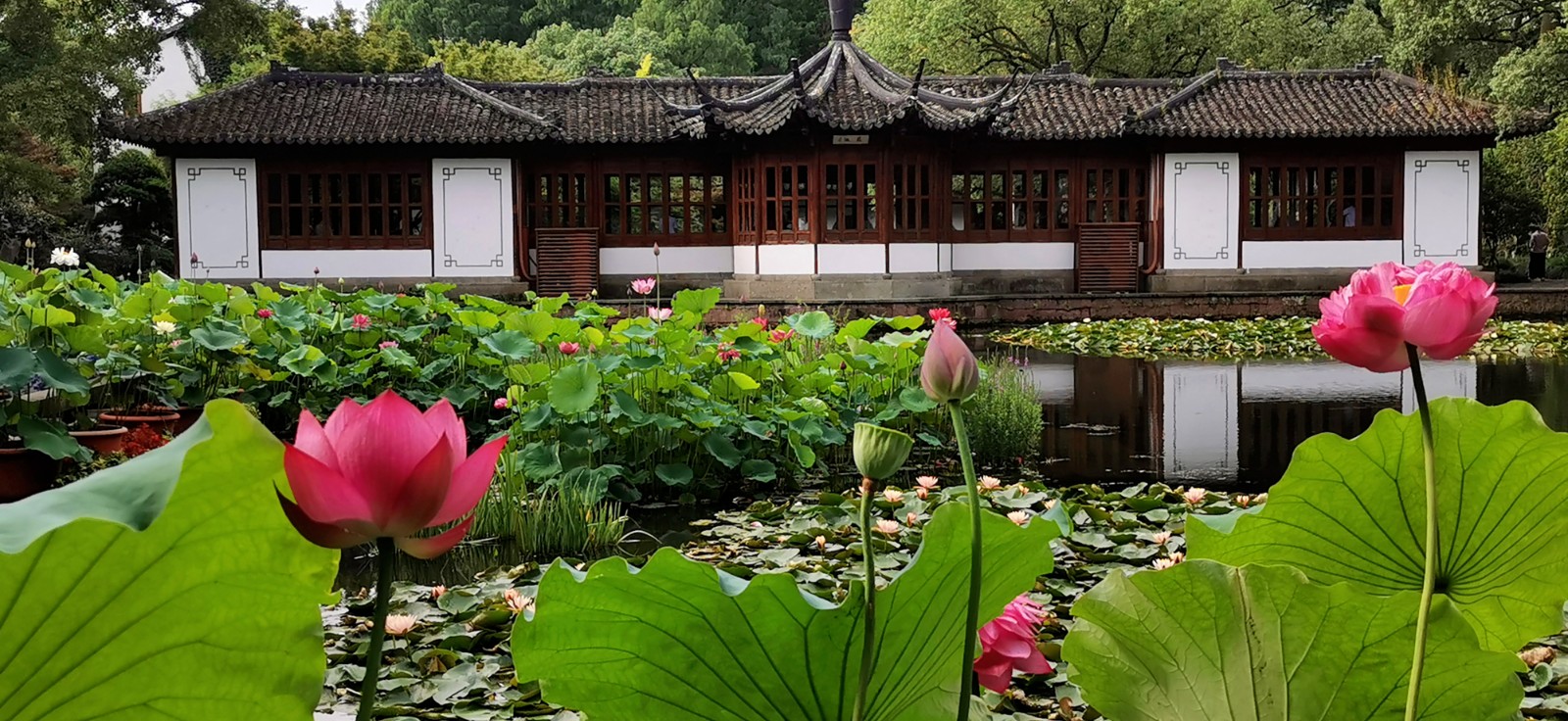 Guo-Garden-Hangzhou