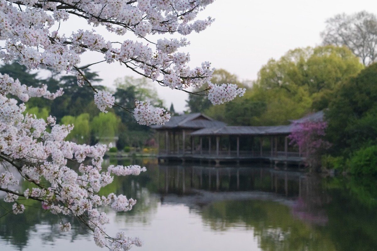 Viewing-Fish-at-the-Flower-Pond-Hangzhou