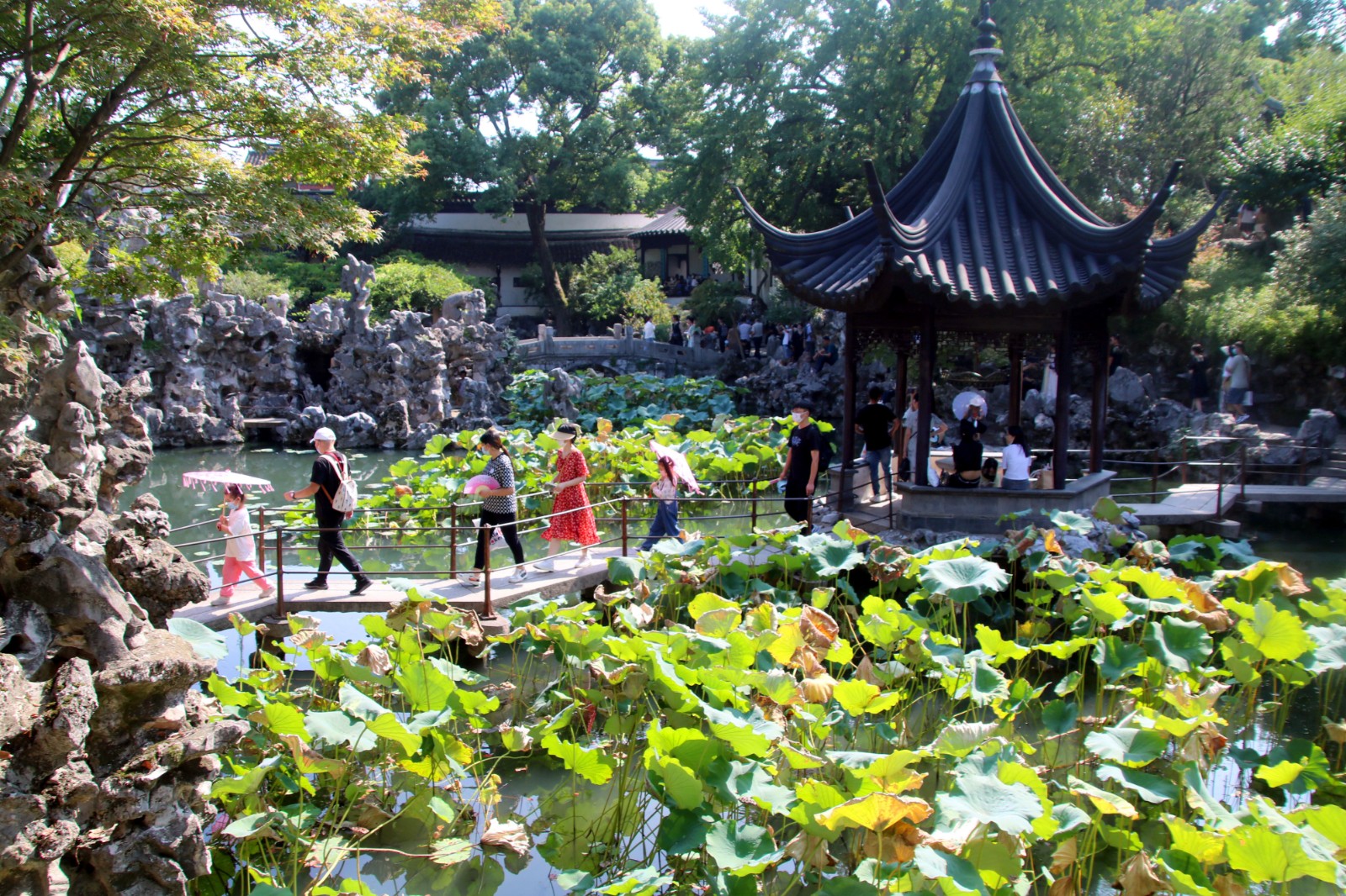 Lion-Grove-Garden