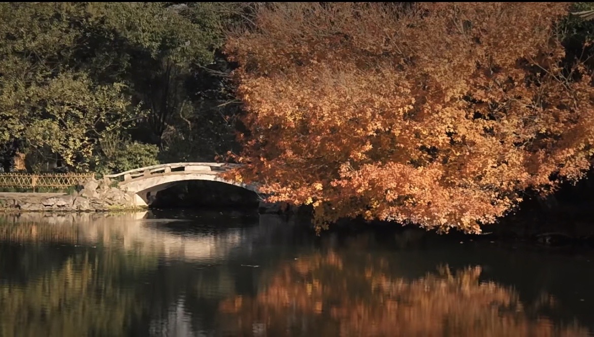 Viewing-Fish-at-the-Flower-Pond-Hangzhou