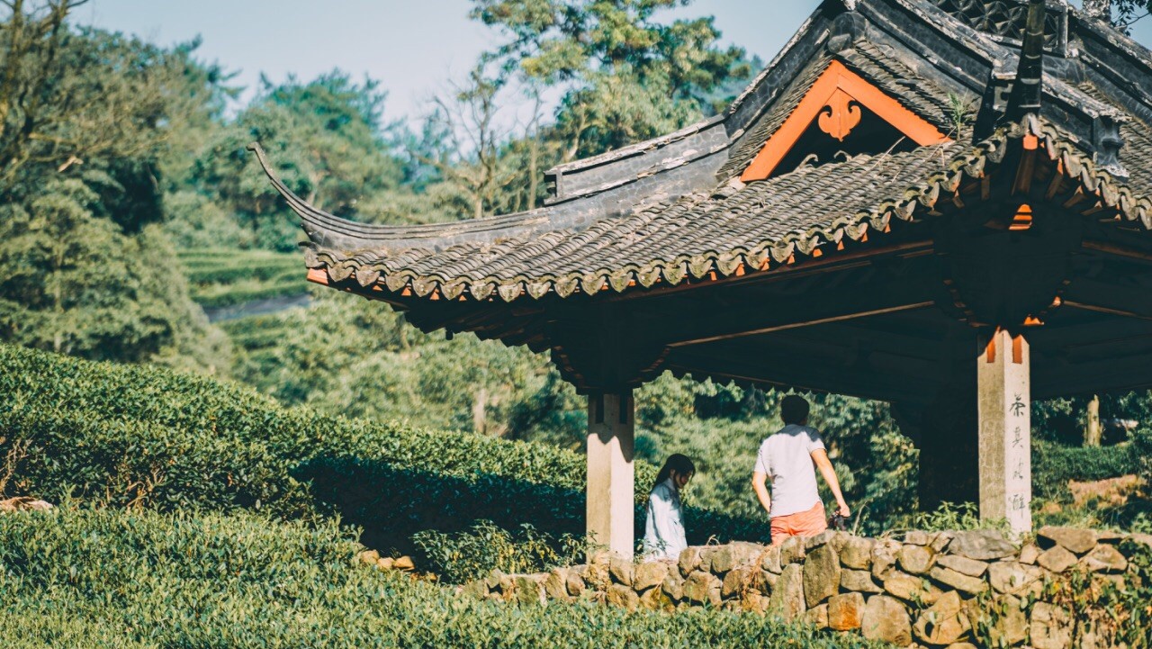 Meijiawu-Tea-Plantation