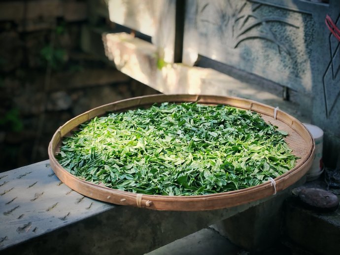 MeijiawuTea-Plantation-Hangzhou