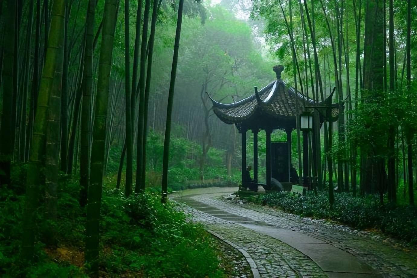 Bamboo-Lined-Path-at-Yunqi