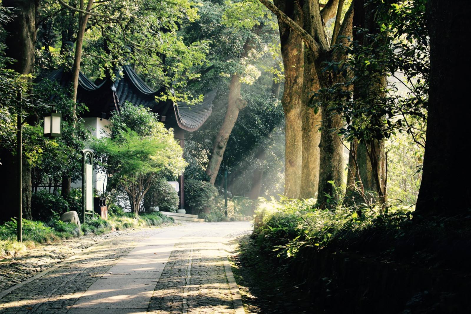 Bamboo-lined Path at Yunqi-Hangzhou