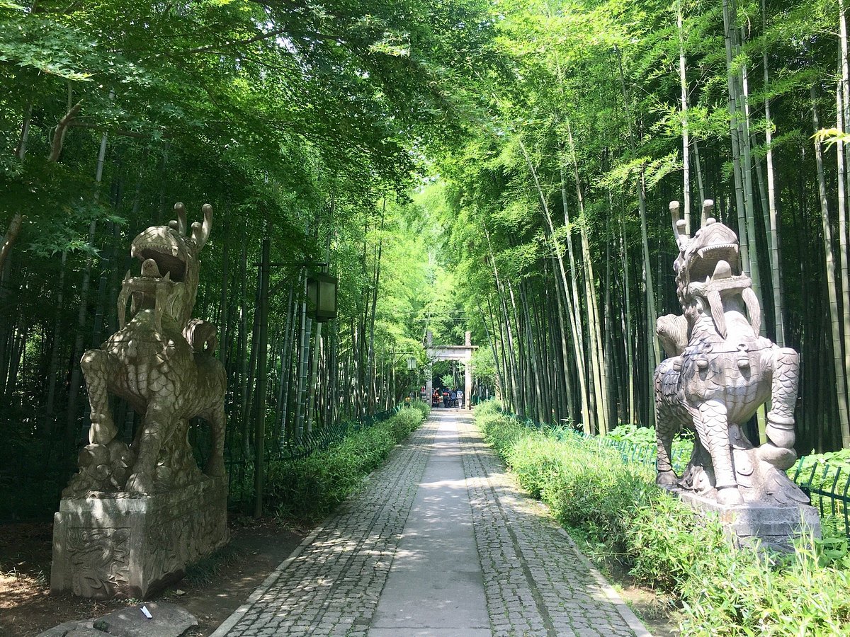 Bamboo-Lined-Path-at-Yunqi