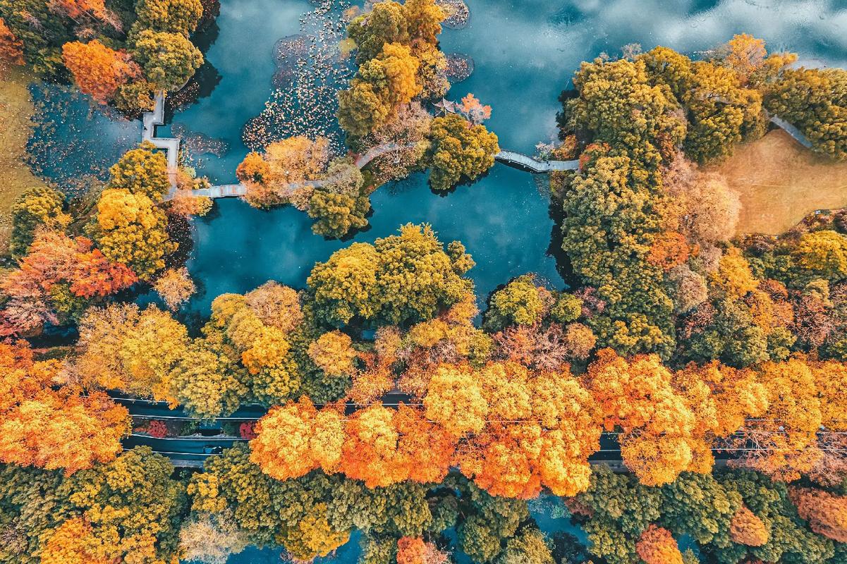 Viewing-Fish-at-the-Flower-Pond-Hangzhou