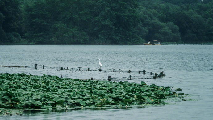 West-Lake-Hangzhou