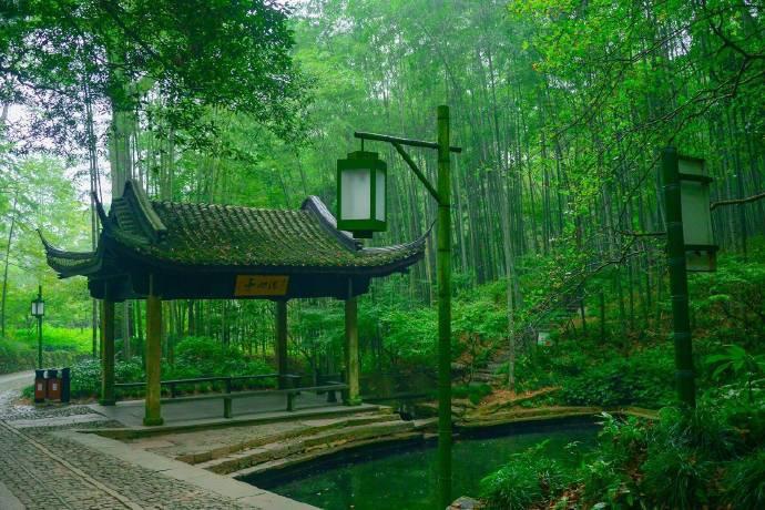 Bamboo-lined-Path-at-Yunqi