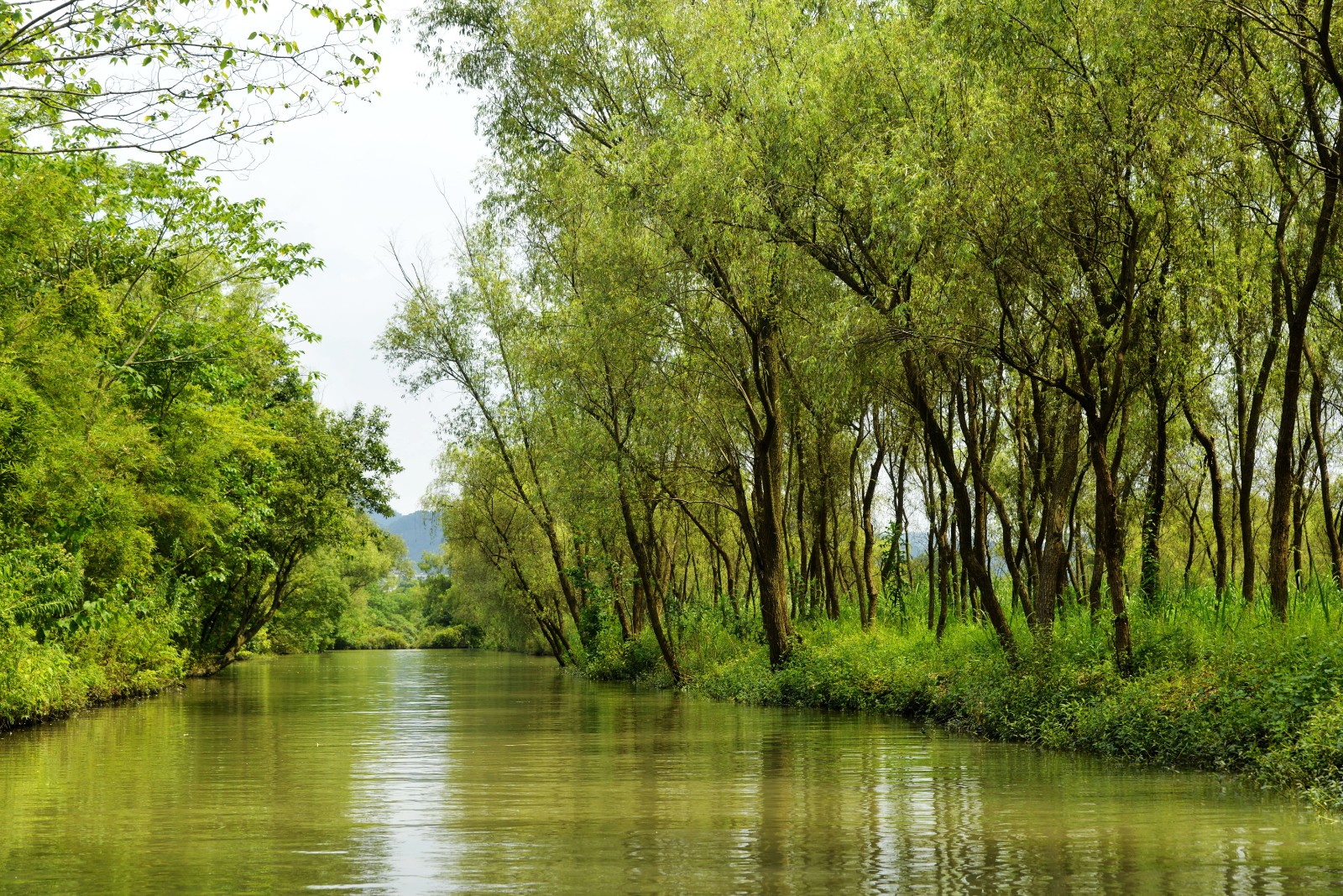 Xixi-National-Wetland-Park