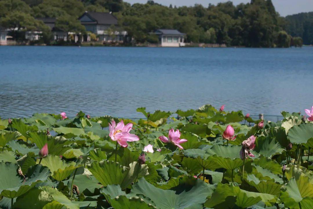 West-Lake-Hangzhou