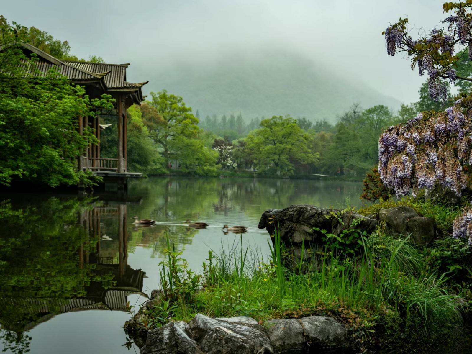 Viewing-Fish-at-the-Flower-Pond-Hangzhou