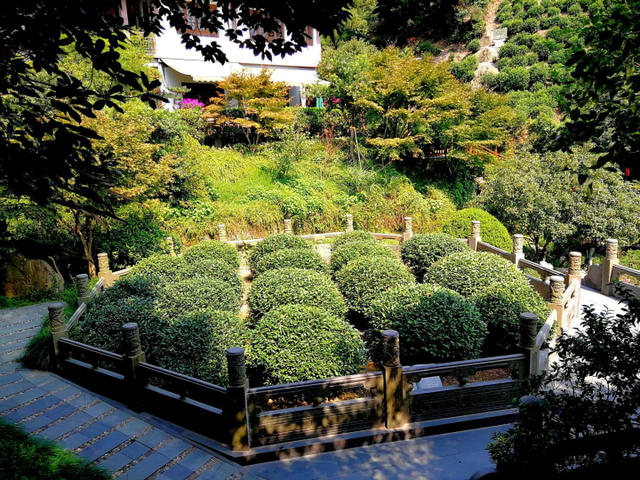 Longjing-Imperial-Tea-Garden-Hangzhou