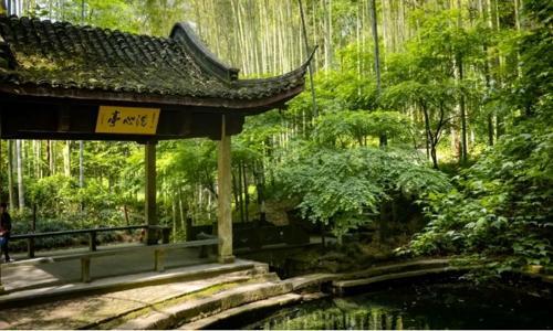 Bamboo-lined-Path-at-Yunqi-Hangzhou