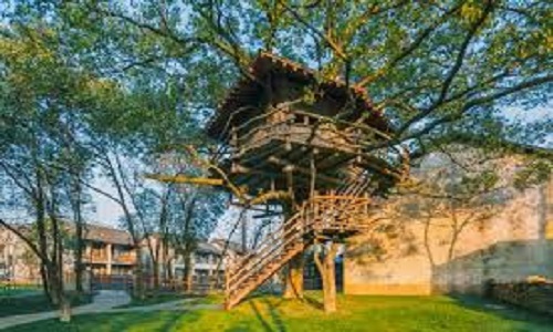 Stay-in-Wucun5