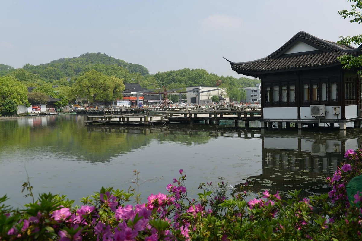 Curved-Yard-and-Lotus-Pool-in-Summer Curved-Yard-and-Lotus-Pool-in-Summer