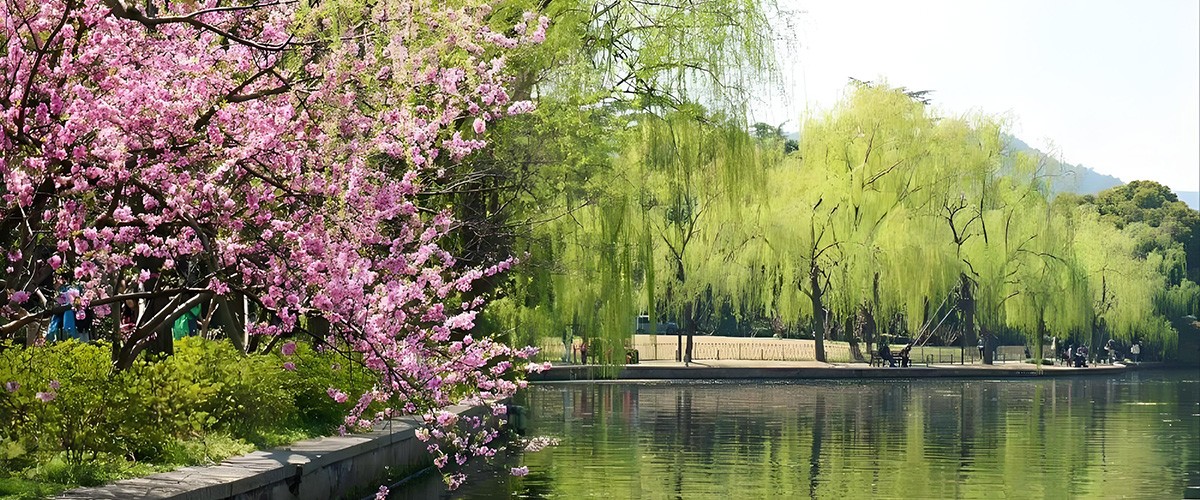 Dawn-on-the-Su-Causeway-in-Spring Dawn-on-the-Su-Causeway-in-Spring