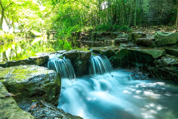 Nine-Creeks-Meandering-Through-a-Misty-Forest Nine-Creeks-Meandering-Through-a-Misty-Forest